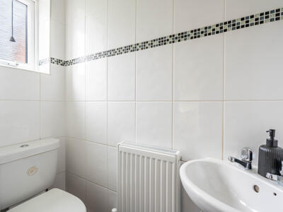 Picture 12